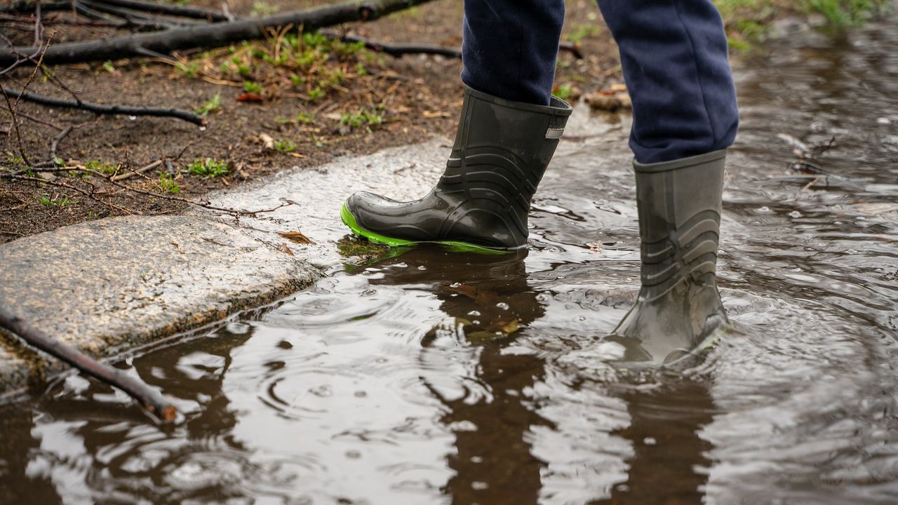 Rain warnings issued for western counties