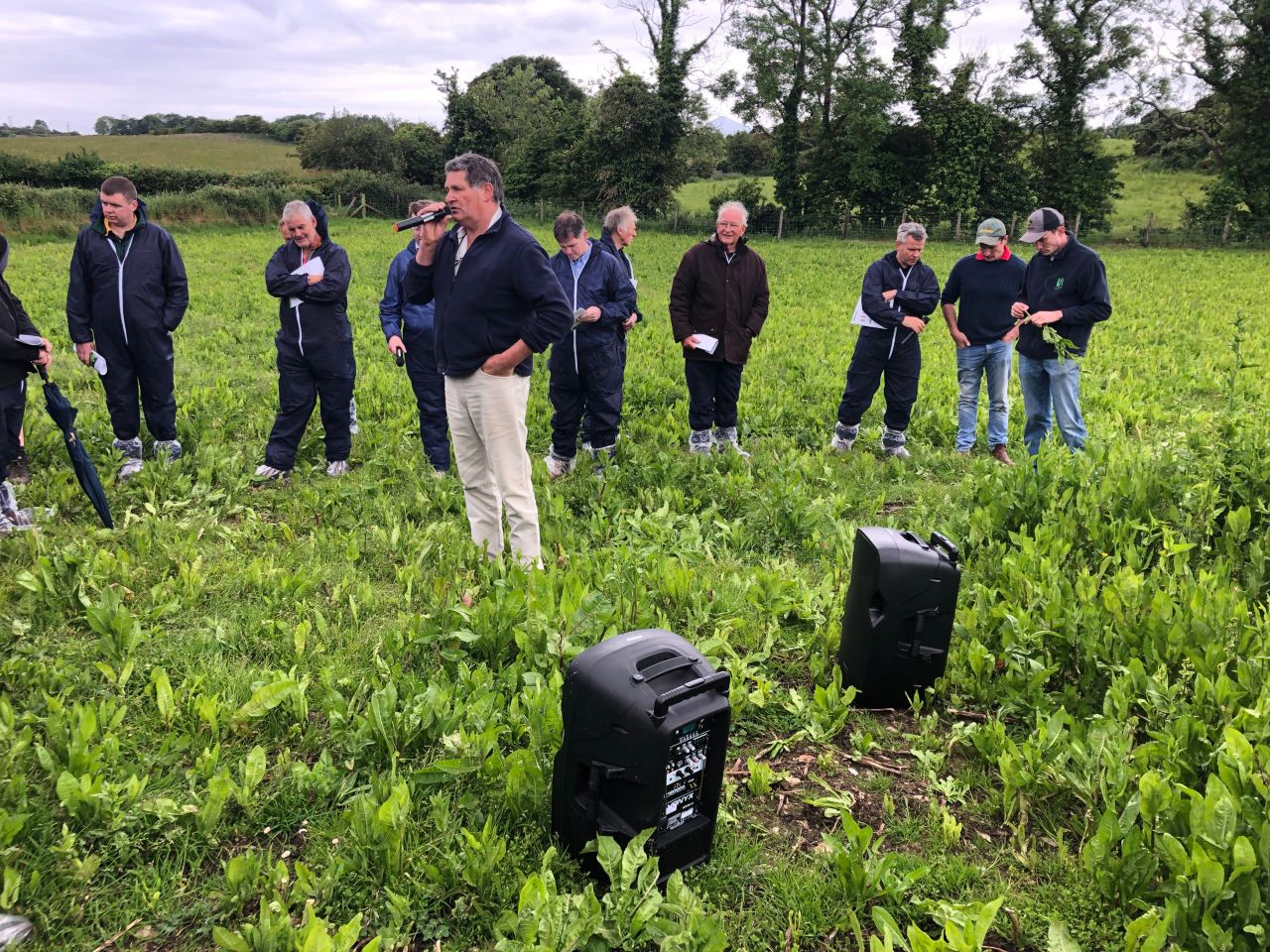 Beef Focus: 'Growing multi-species swards requires a total mindset change'