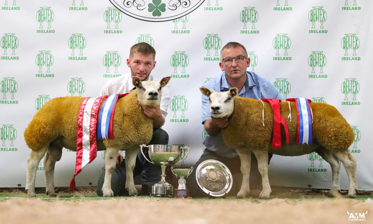 Belgian Beltex premier sale hits high of €2,850