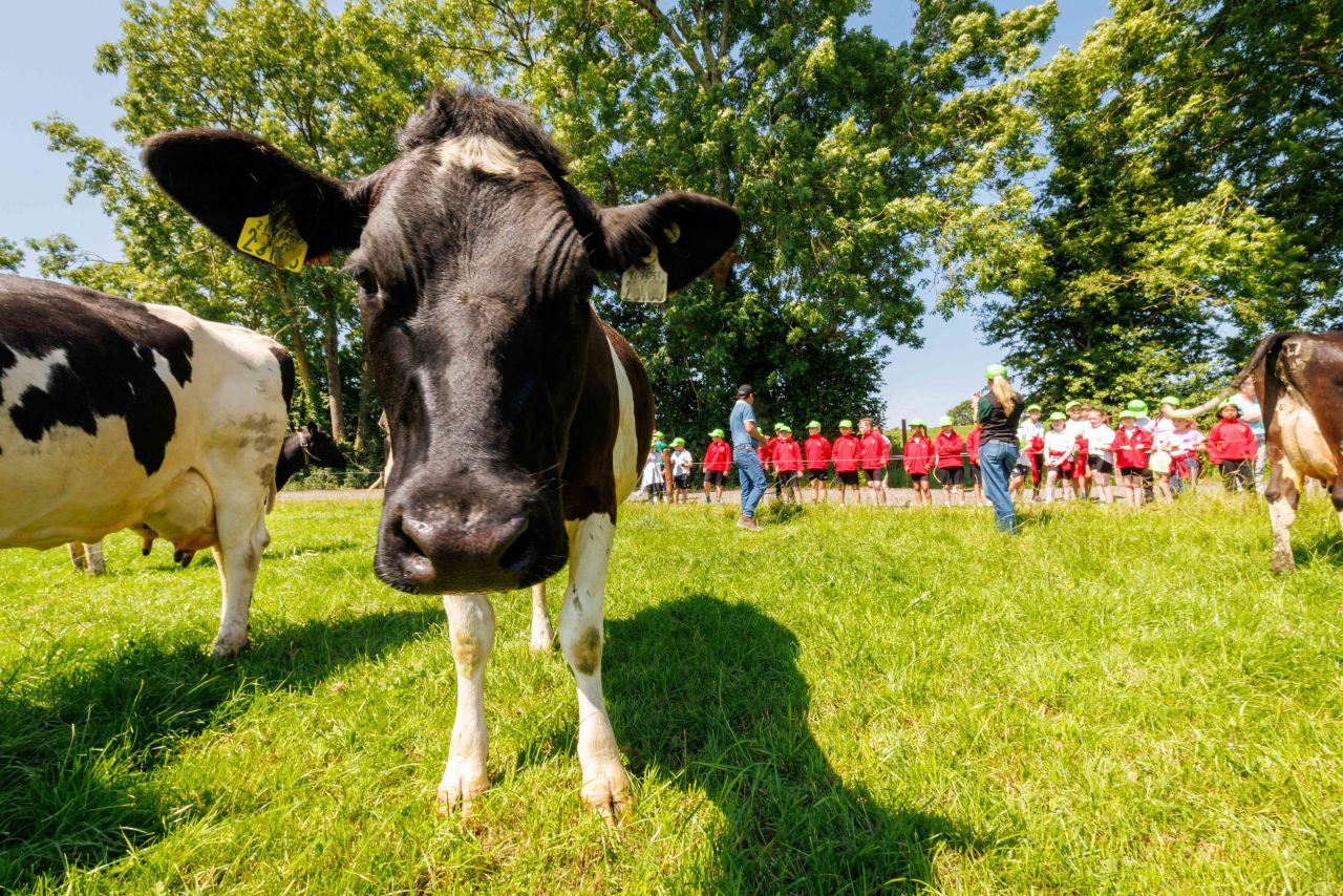 NDC Farmer Ambassador Series: 'We take for granted that the public knows about farming'