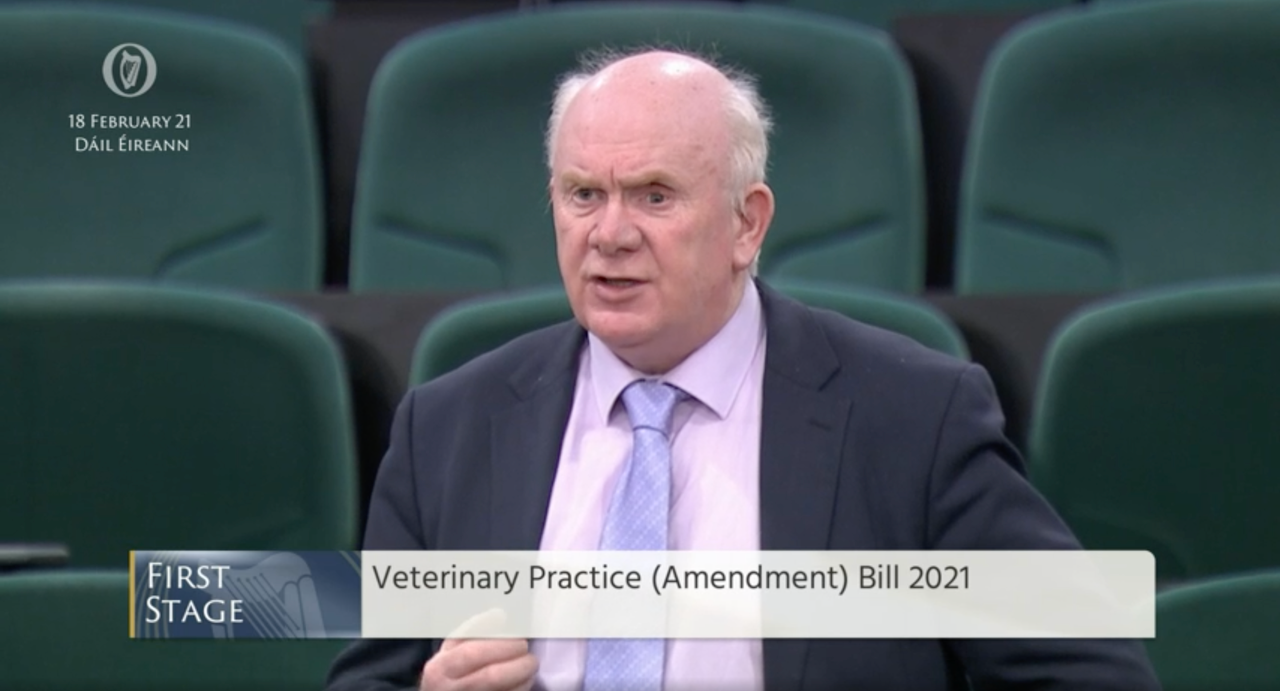 Veterinary-ownership bill passes through next Dáil stage