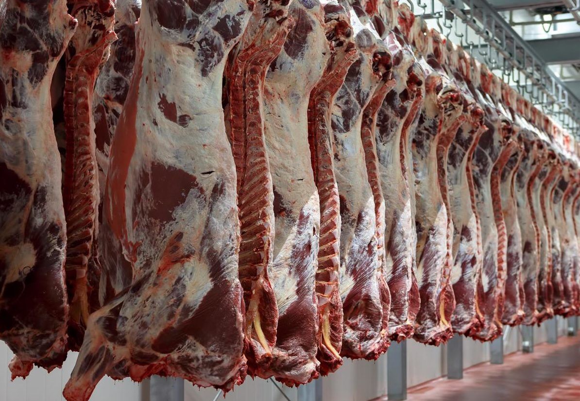 Demand remains strong as cattle supplies tighten