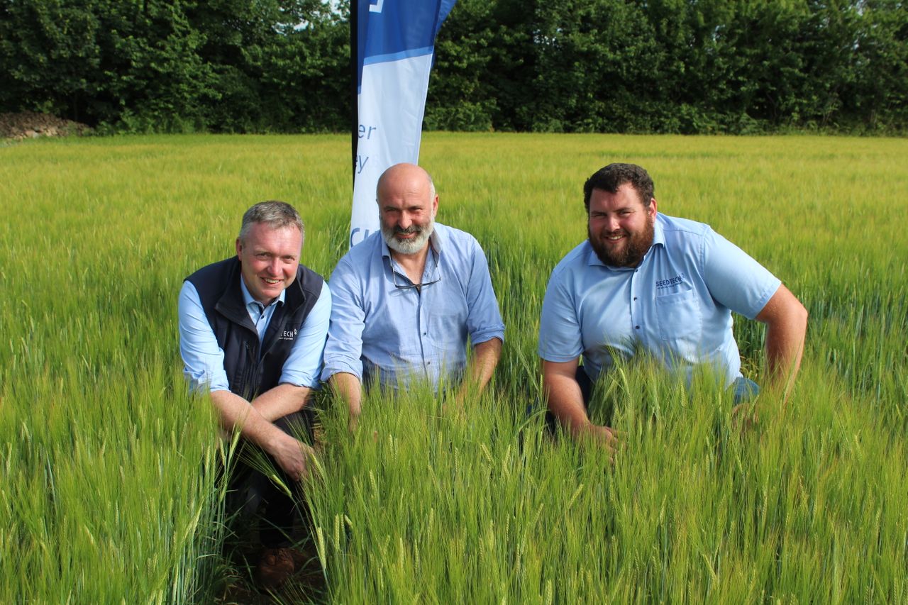 Tillage Focus: Increase in break crop area may boost grain yields