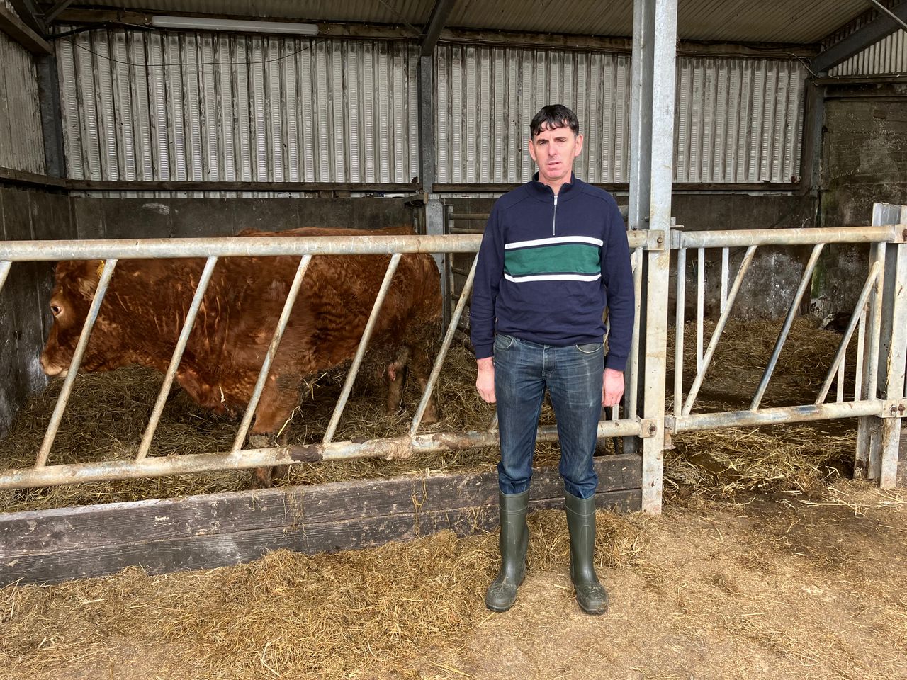 Ballinrobe suckler and sheep farm to host IGA beef event