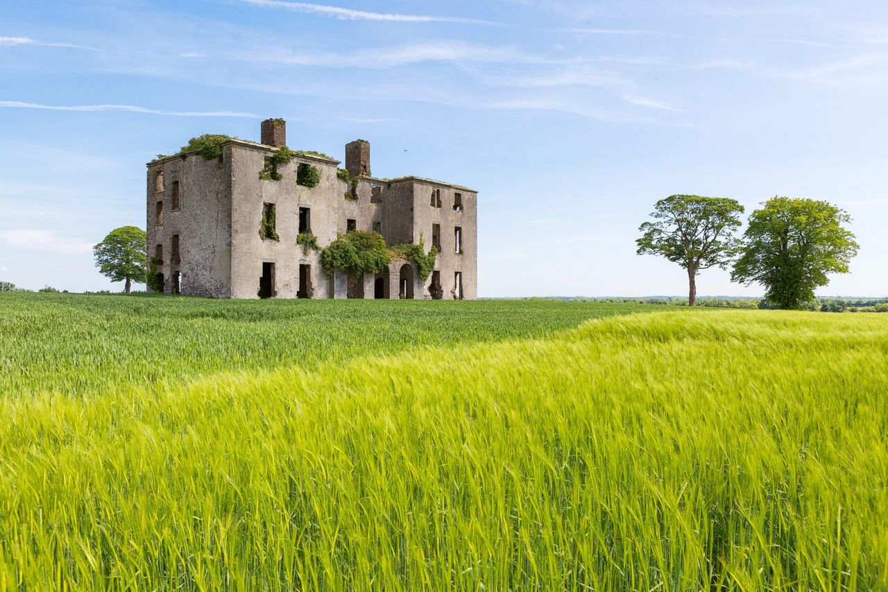 Rathcoffey castle and farm offers 'highly productive' lands