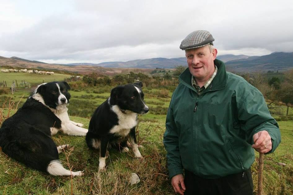 Watch: Kenmare Mart manager dances back to council seat