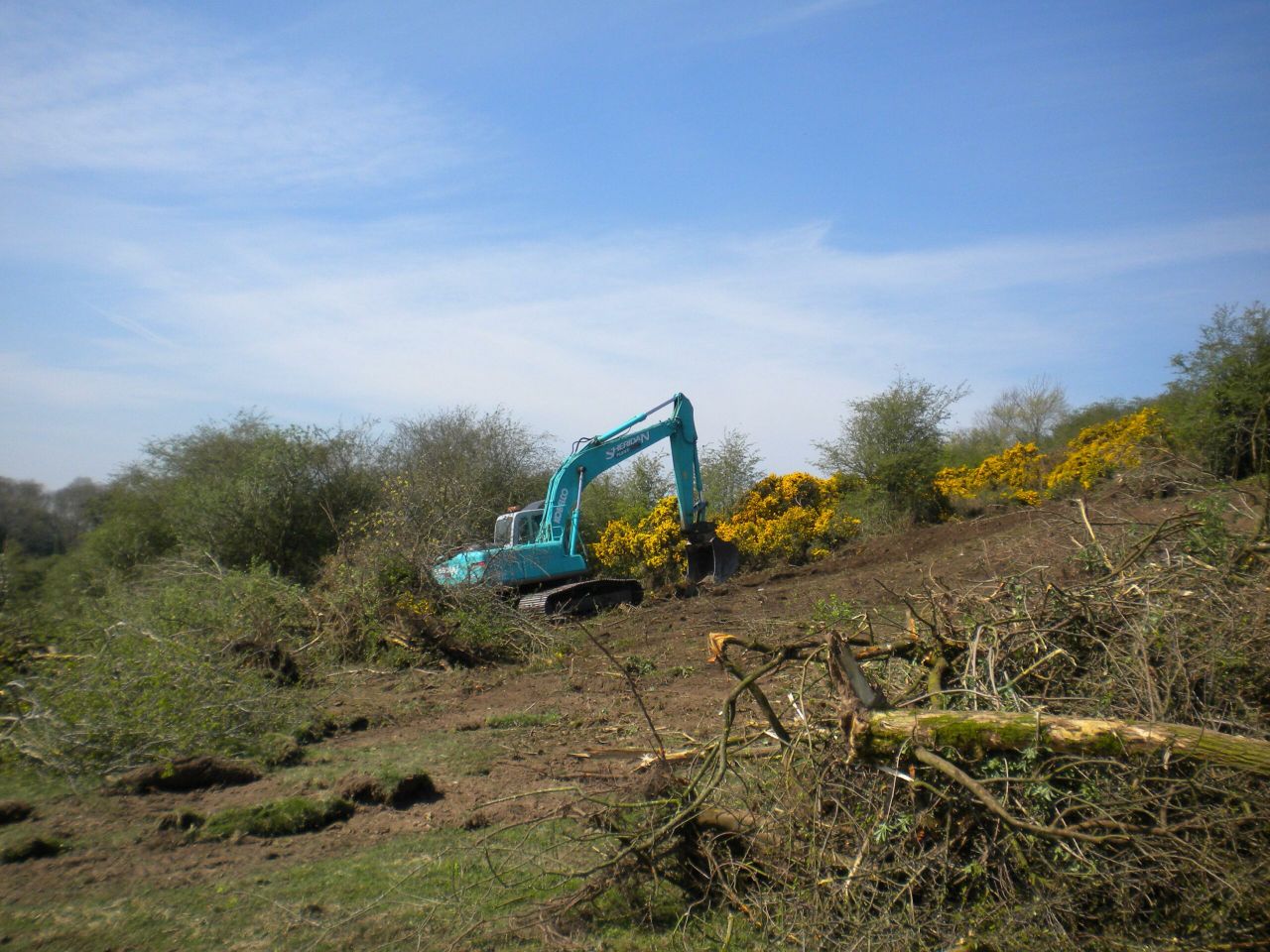 Meath farmer fined for illegal destruction of hedgerows
