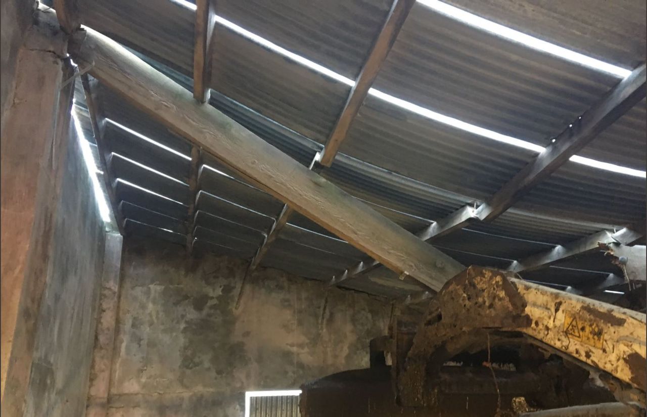 Ophelia: How my quick-thinking family stopped the roof from coming down