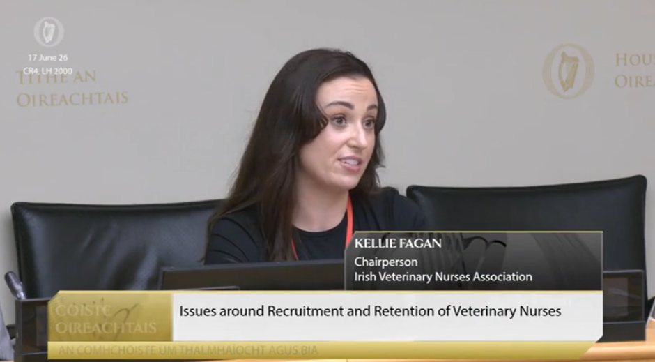 Kellie Fagan, chair of the Irish Veterinary Nurses Association (IVNA) Source: Oireachtas 