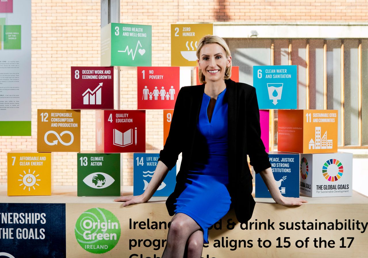 Bord Bia appoints Ryan as director of Origin Green