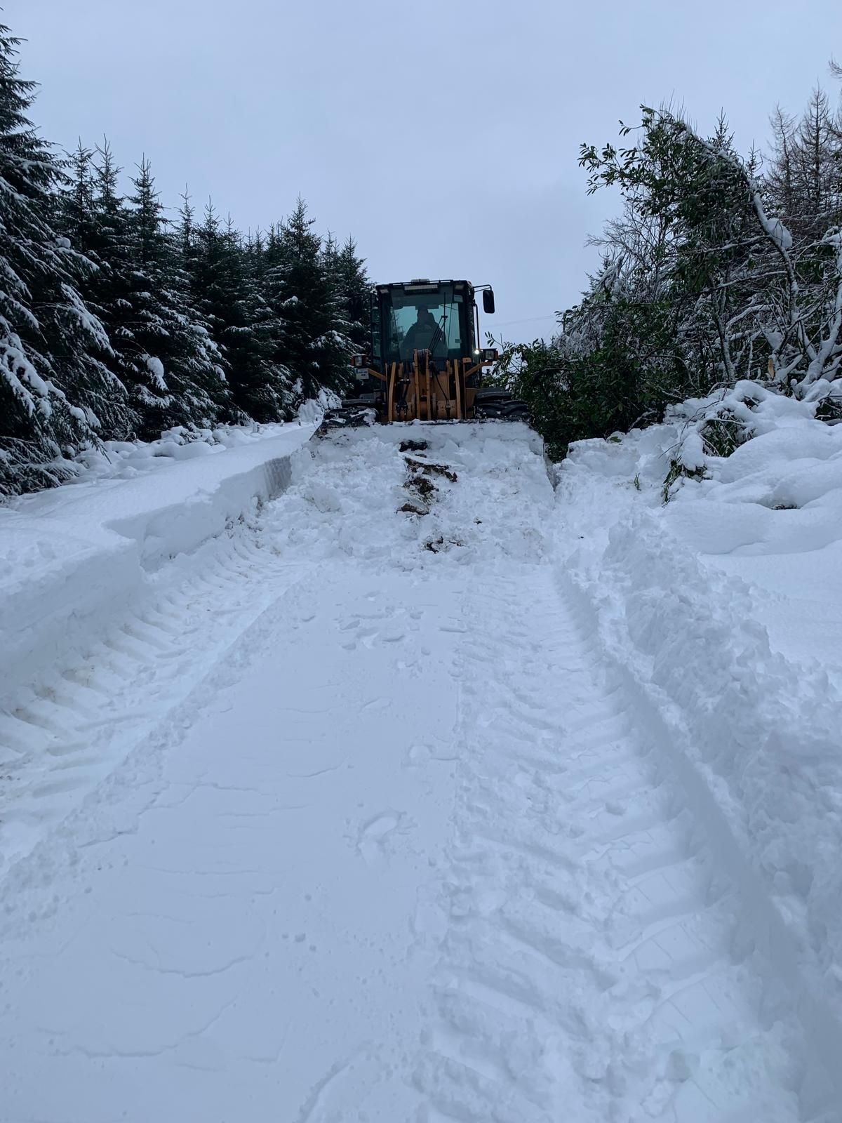 Opinion: And we thought our winter weather was bad