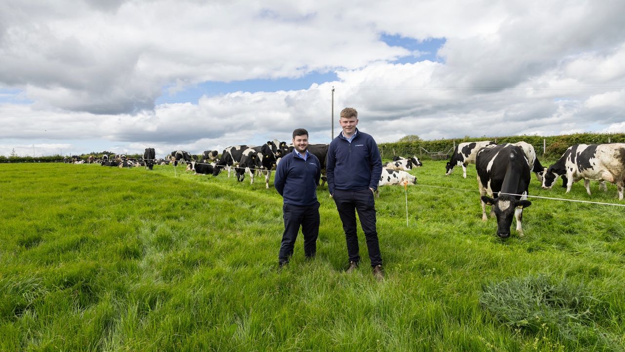 How two Antrim farmers are making livestock management simpler