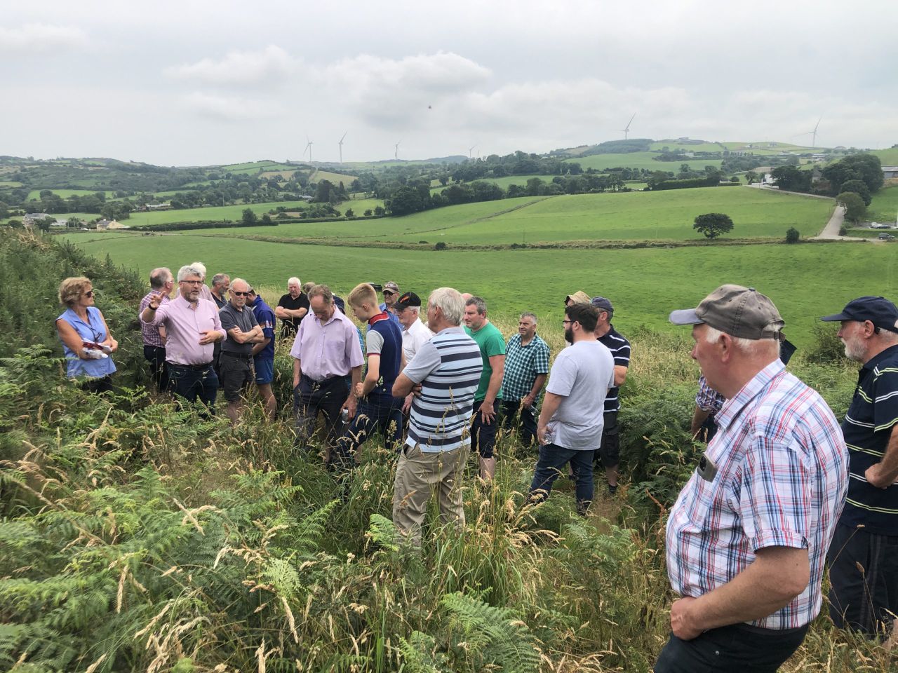Bovine TB 'is becoming concentrated' within the dairy herd