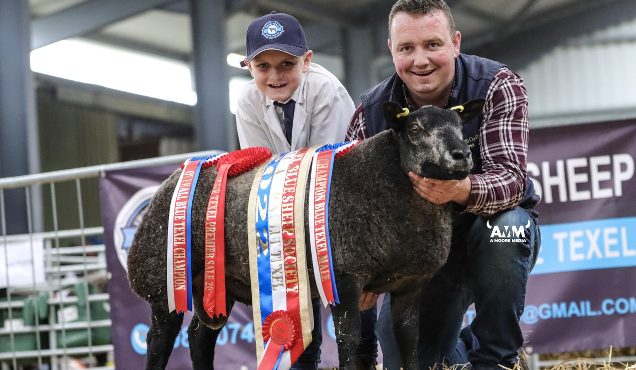 Overall champion tops Blue Texel premier sale at €2,600