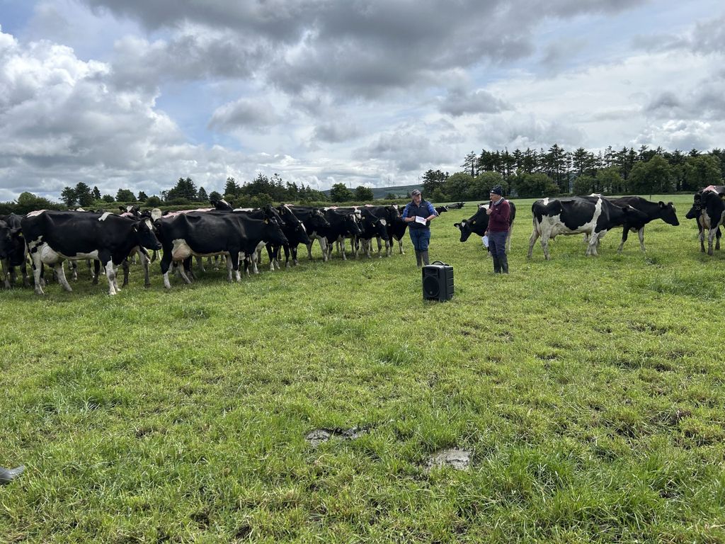 Leader talking about how the breeding season is progressing