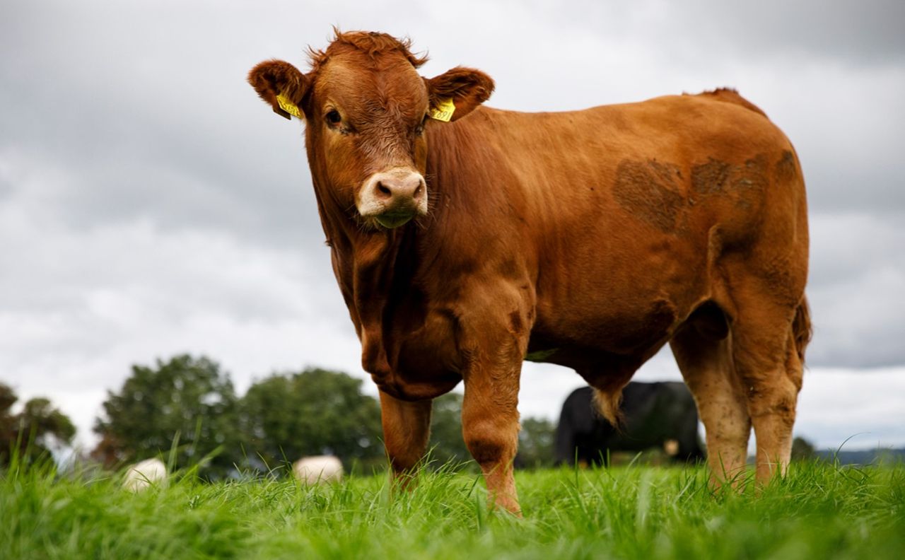 37% increase in Cultivate loan applications