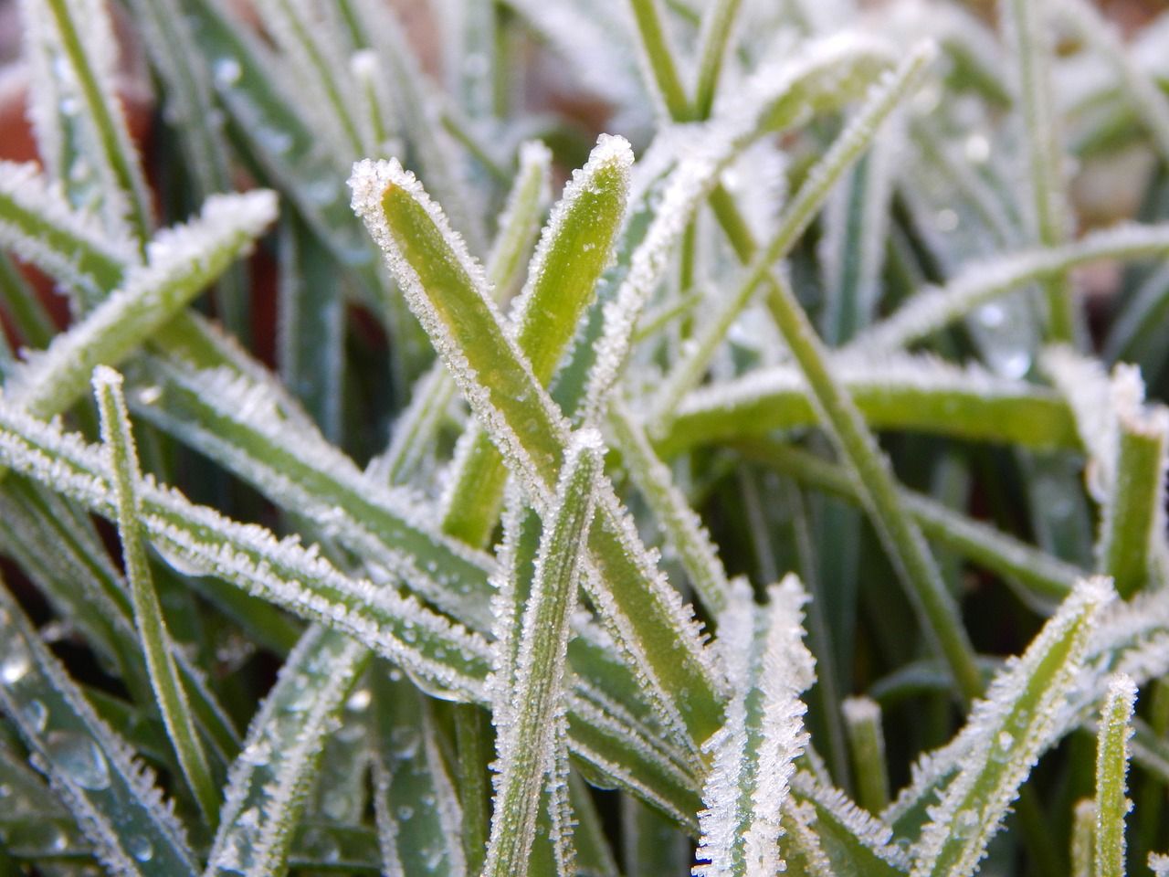 Met Éireann: Cold conditions expected over weekend