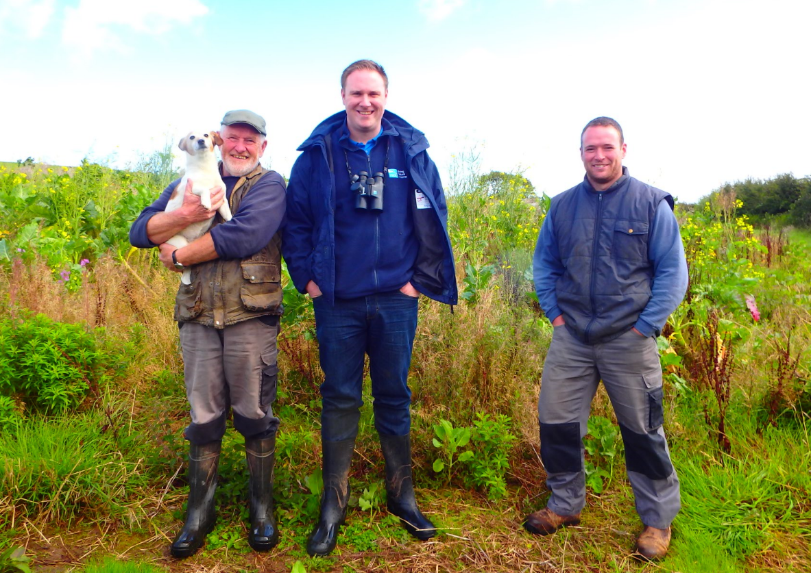 Agri-environment scheme benefits bird species on NI farms