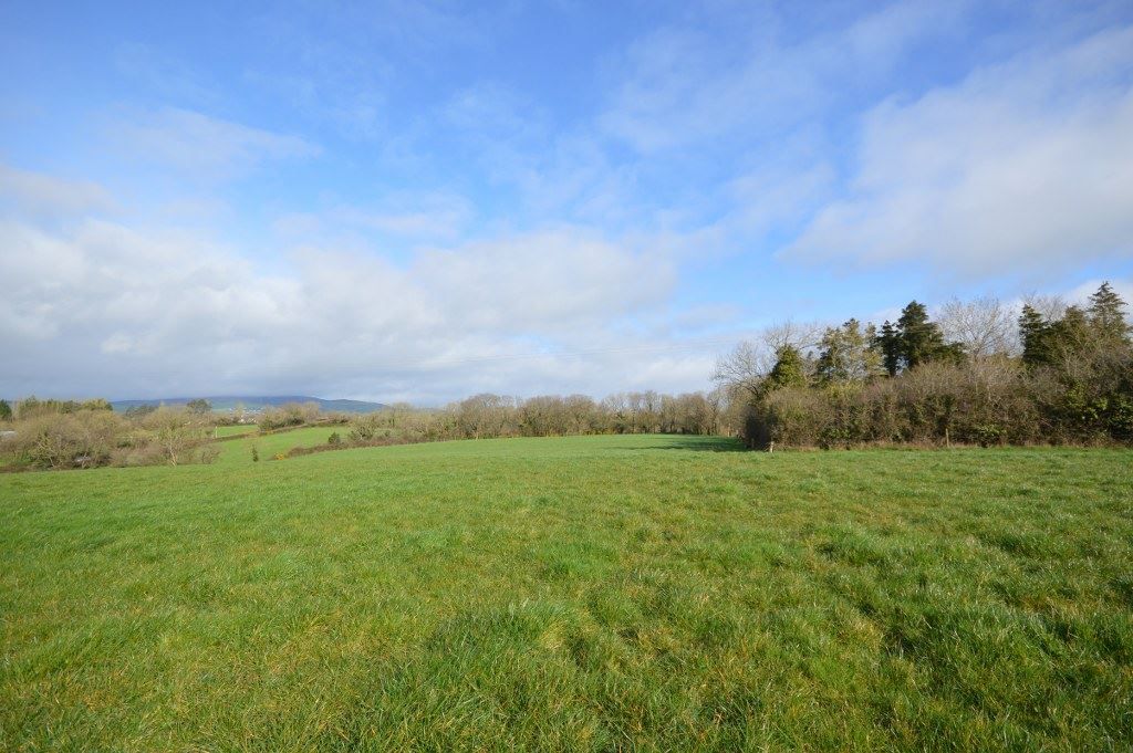 Give an 'Inch': Gorey holding to go for online auction