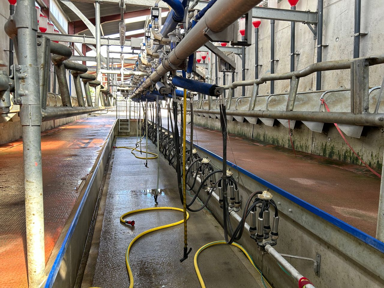 Milk processors called on to hold current prices