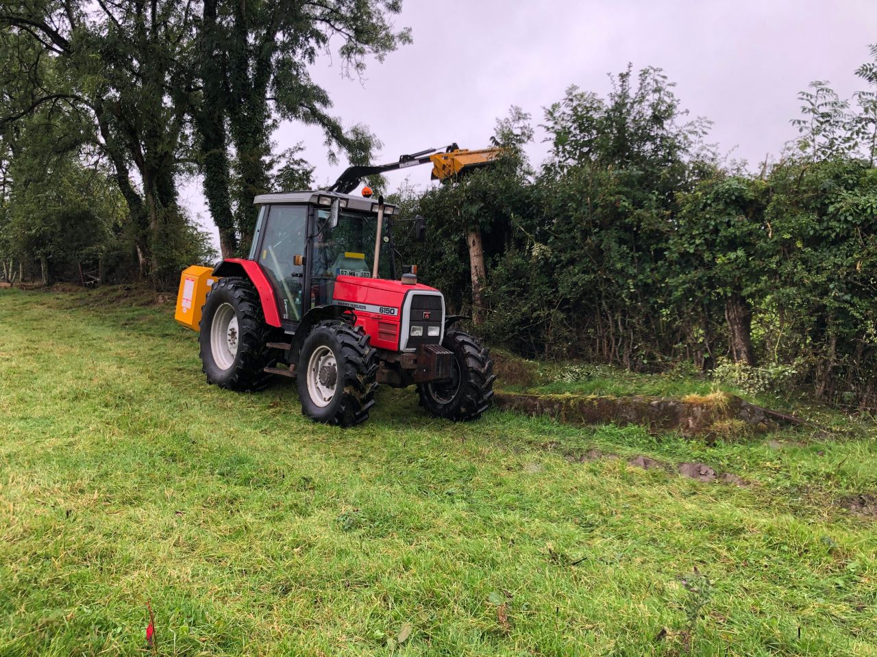 Reminder: Specific hedge-cutting rules for derogation farmers