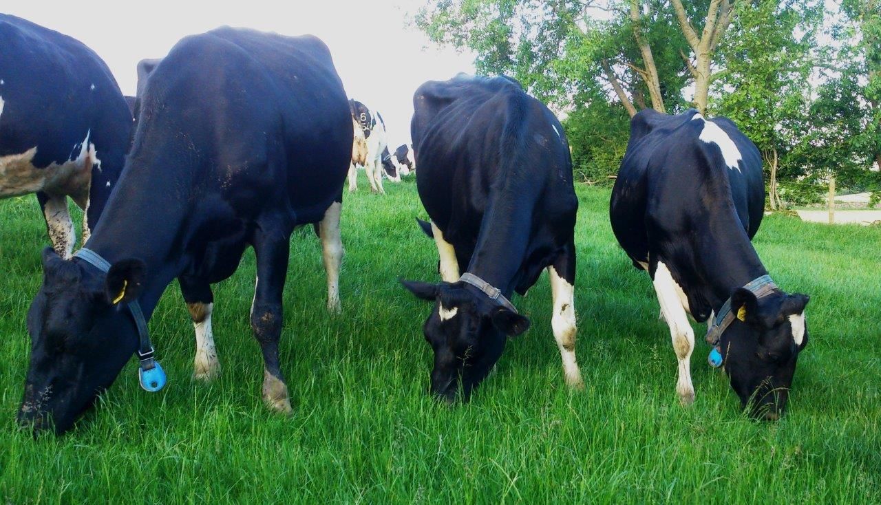 'Milking More from Grass' event set for September