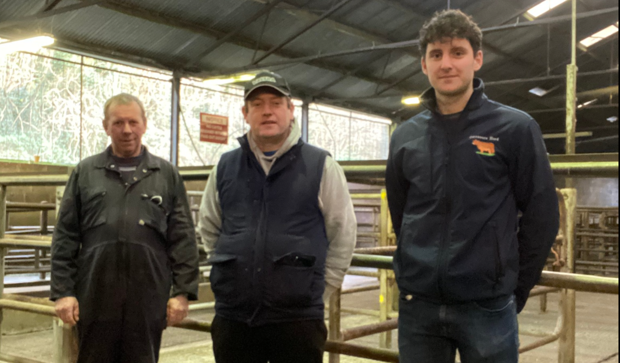 Cavan Mart reopens for 2022 under new management