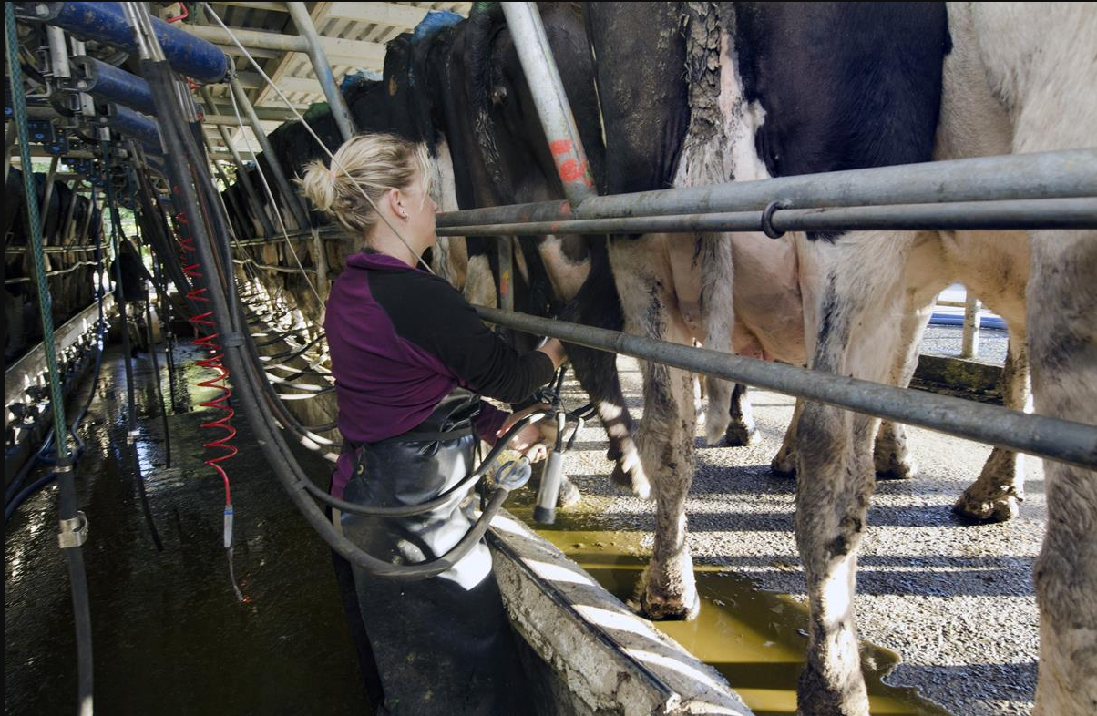 €9.8m issued under Women Farmer Capital Investment Scheme