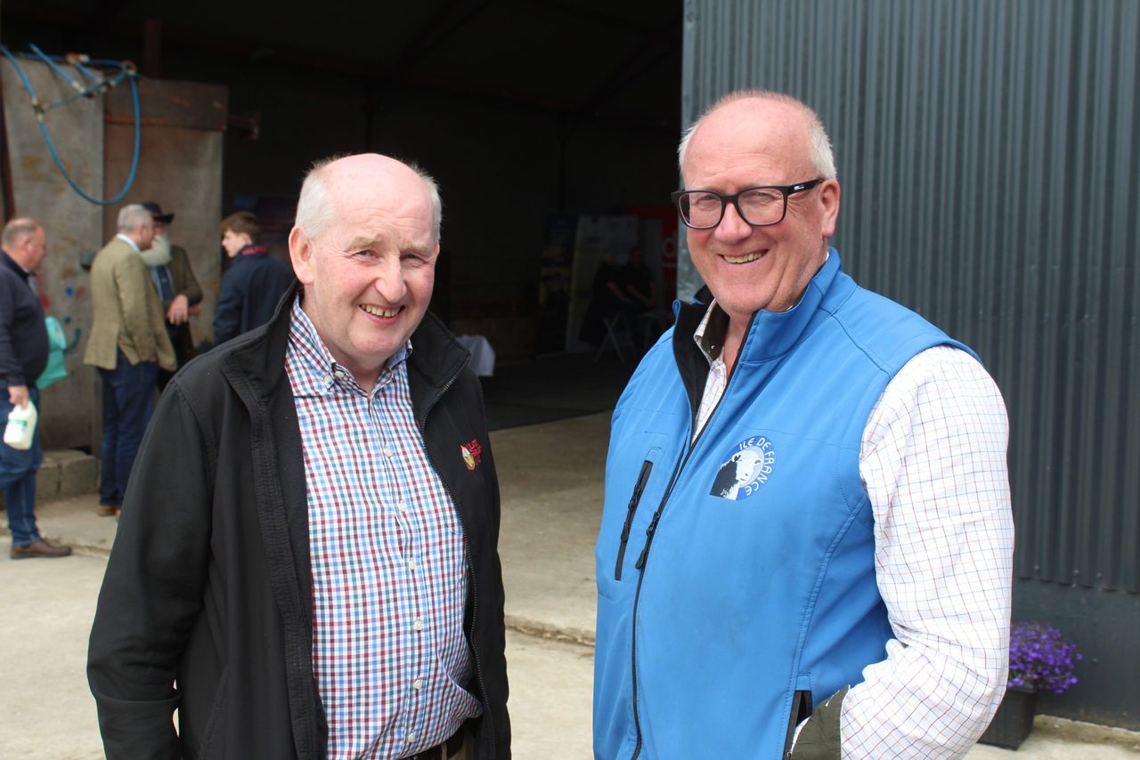 Discussions on bespoke NI sheep support package to continue
