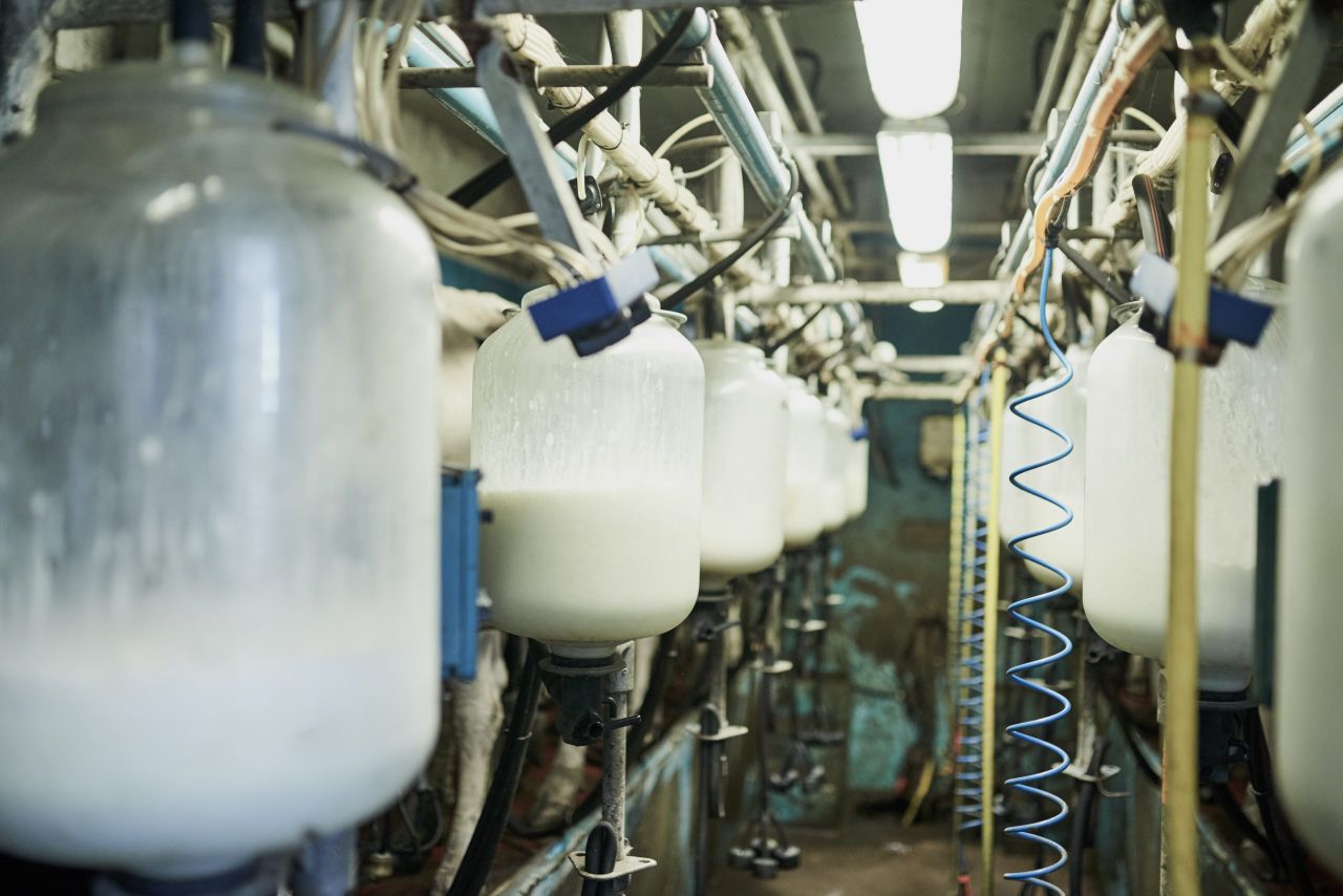 CSO: Domestic milk intake down 37m litres in April