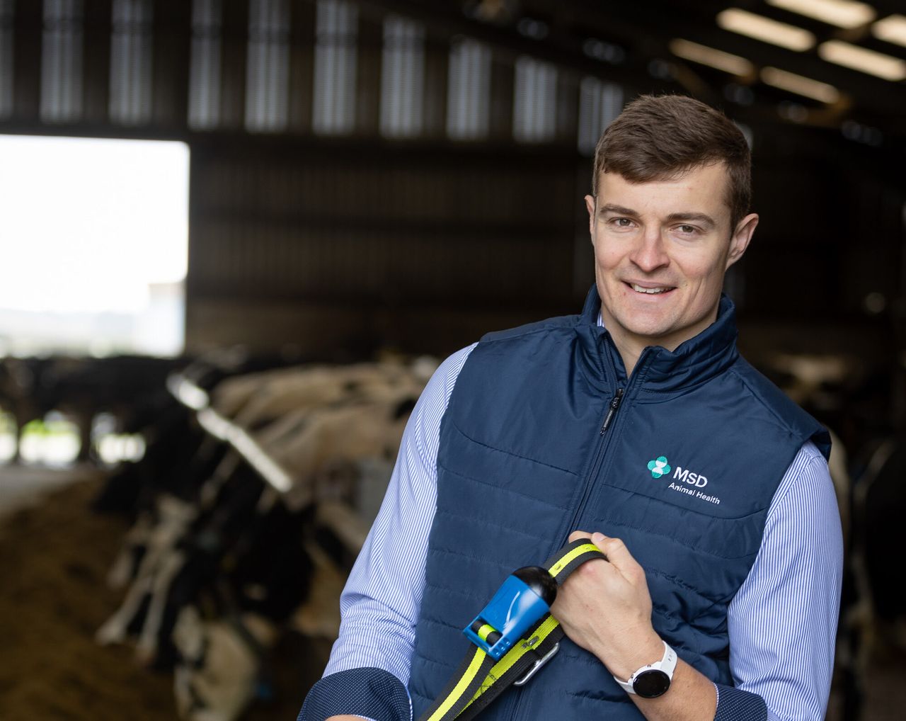 MSD Animal Health appoints new ruminant business unit director