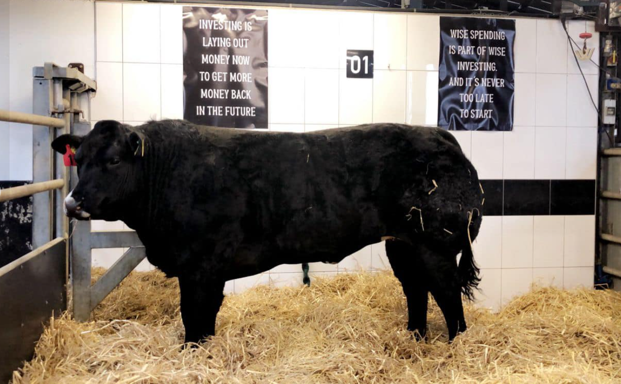 Video: McGee sale sees top price of €18,000 for heifer
