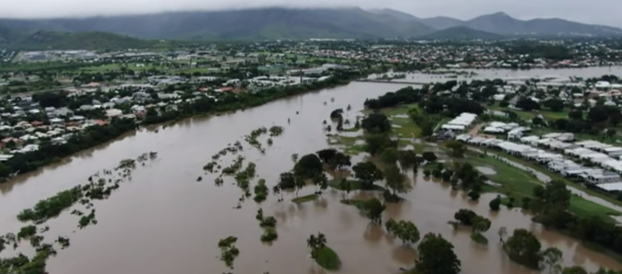 'Hundreds of thousands' of cattle dead in Australian flooding