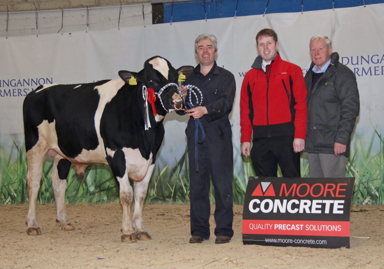 Good prices and a strong trade at Dungannon dairy sale