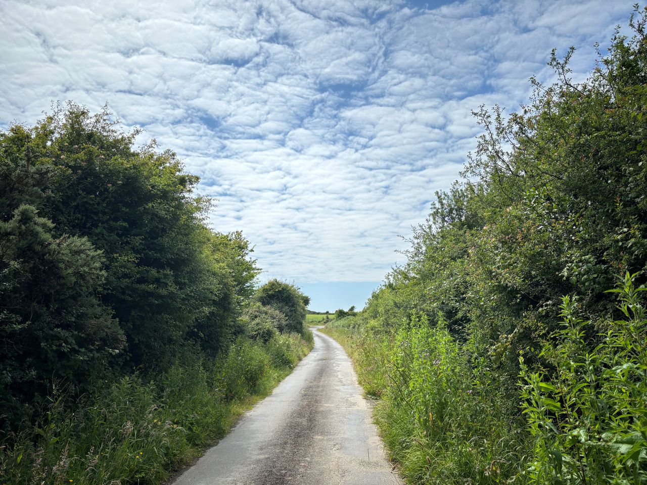 Additional €14 million announced to improve rural roads