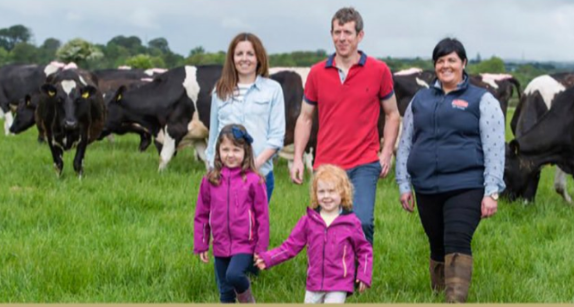 Dairygold set to host milk quality open day