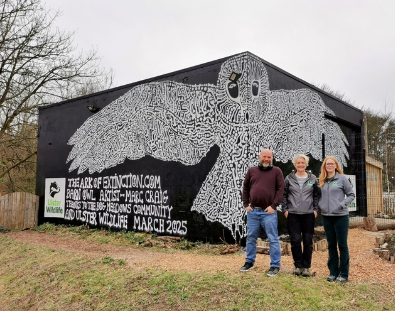 Ulster Wildlife mural aims to raise awareness on barn owls
