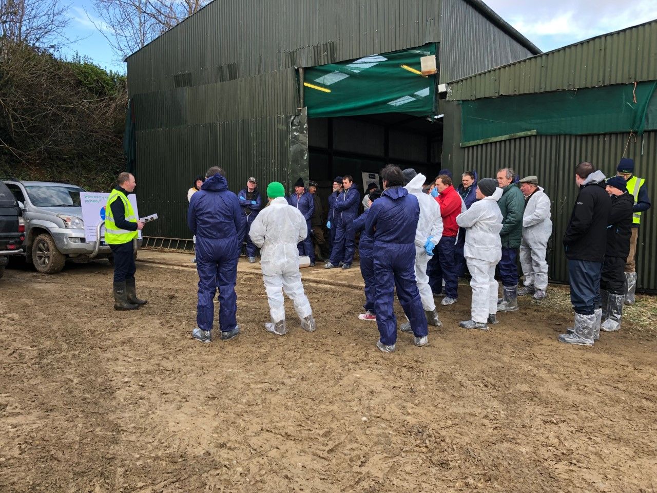 Pre-lambing workshop: How important is hygiene?