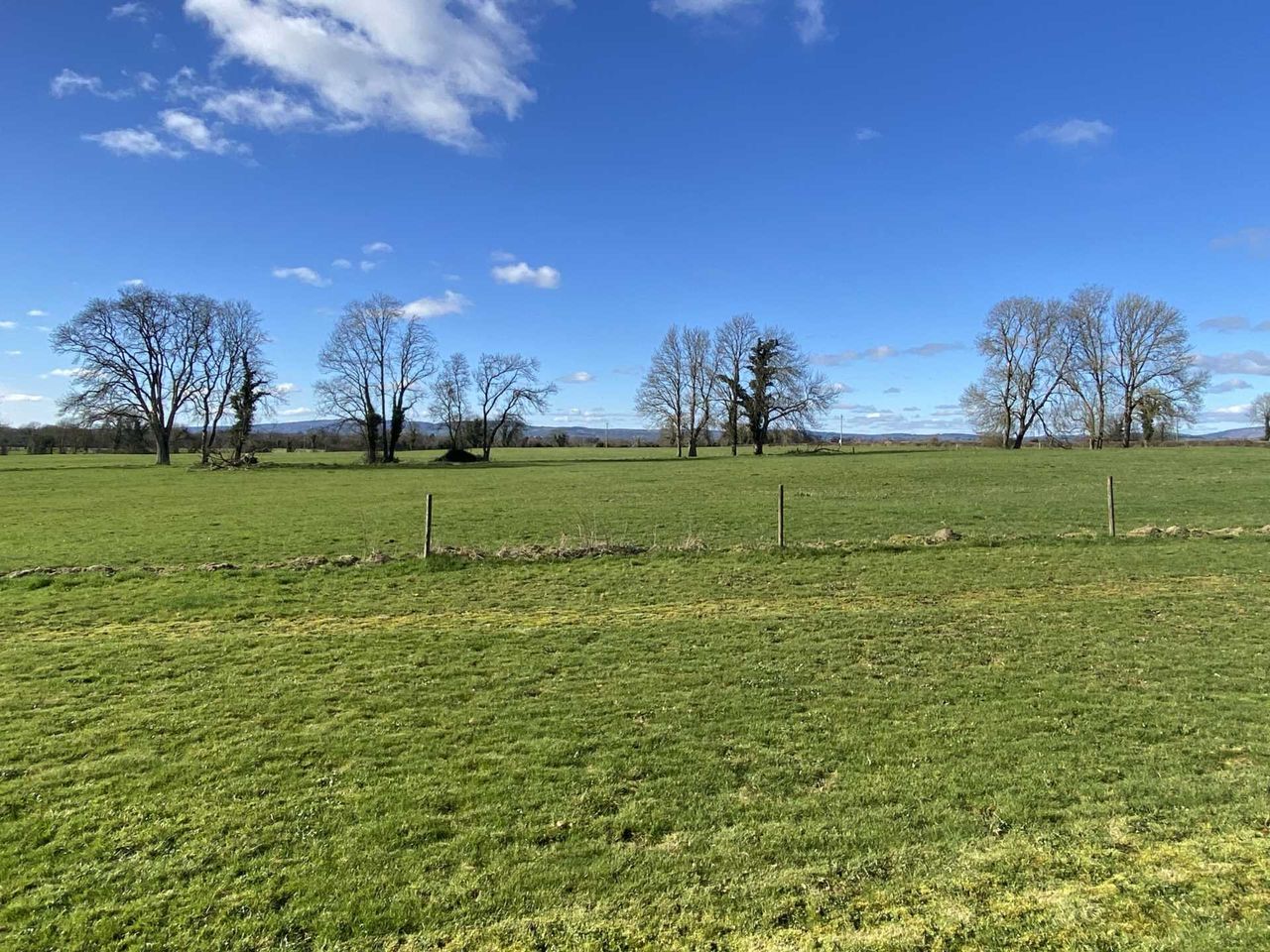 'Valuable' land for sale at Mountshannon, Lisnagry