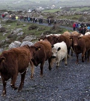 ‘GLAS scheme discriminates against commonage farmers’