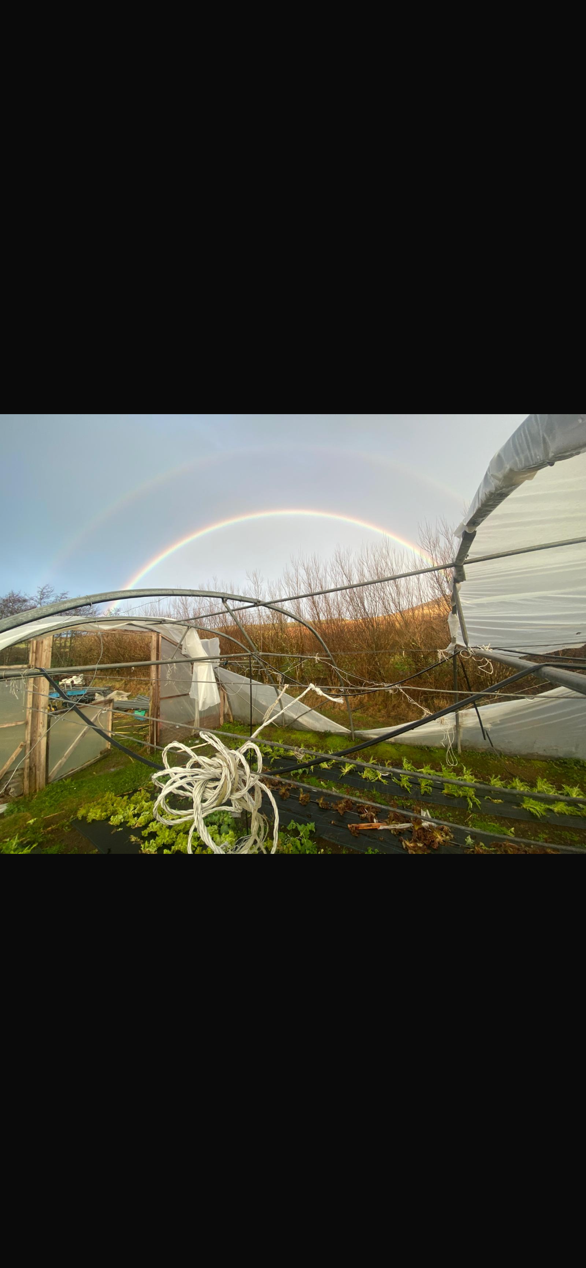 Organic farmers plea for government assistance after storm