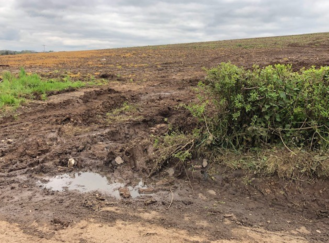 Farmer tells TD there is 'no joy in farming' just red tape