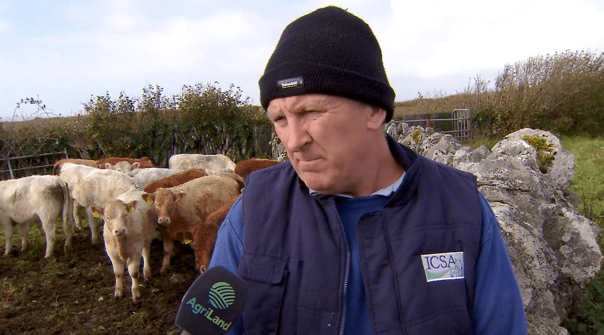TB troubles: 'It seems to go in waves'