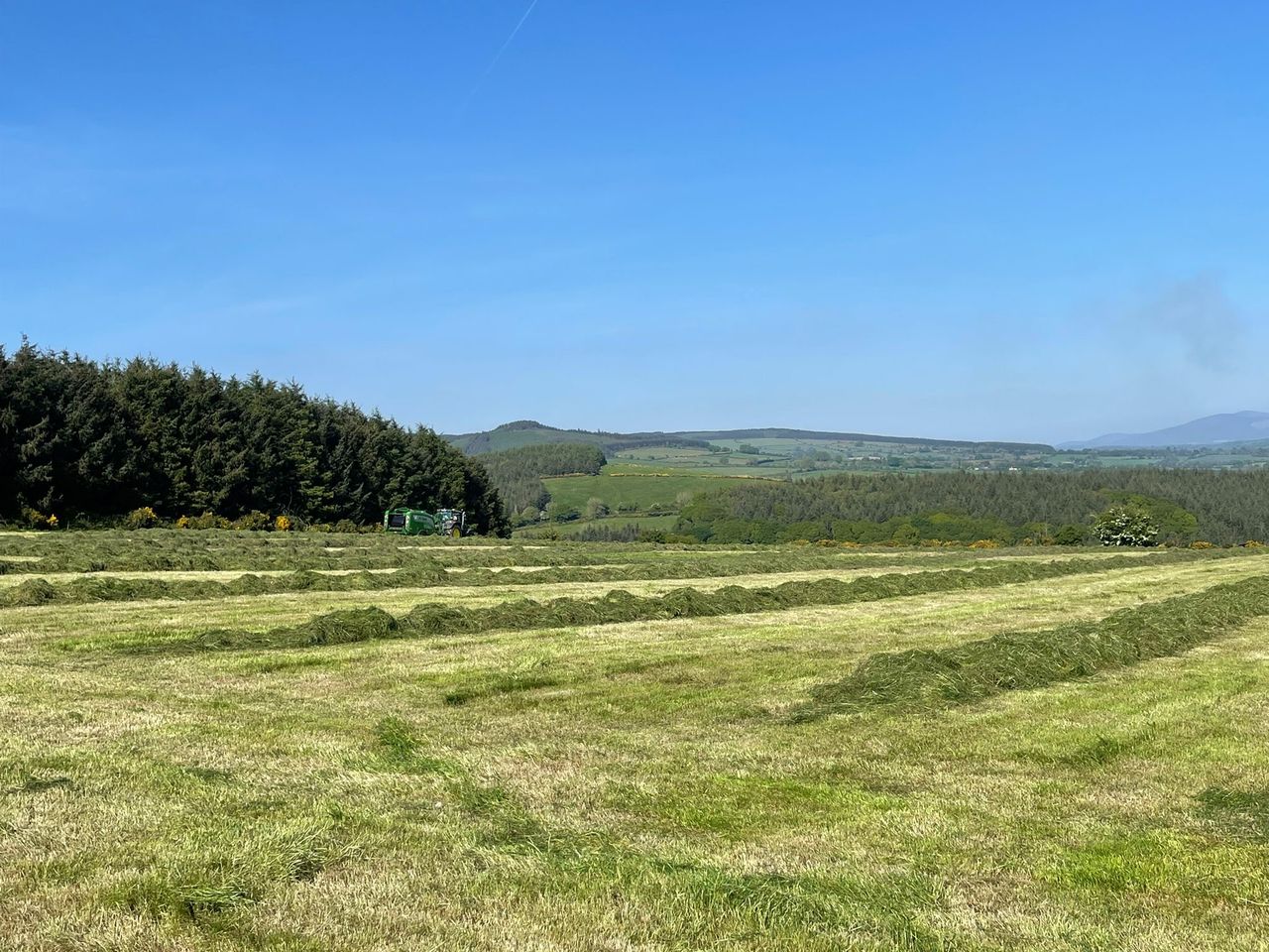 ABP Demo Farm: Silage, calf weaning and cattle weights