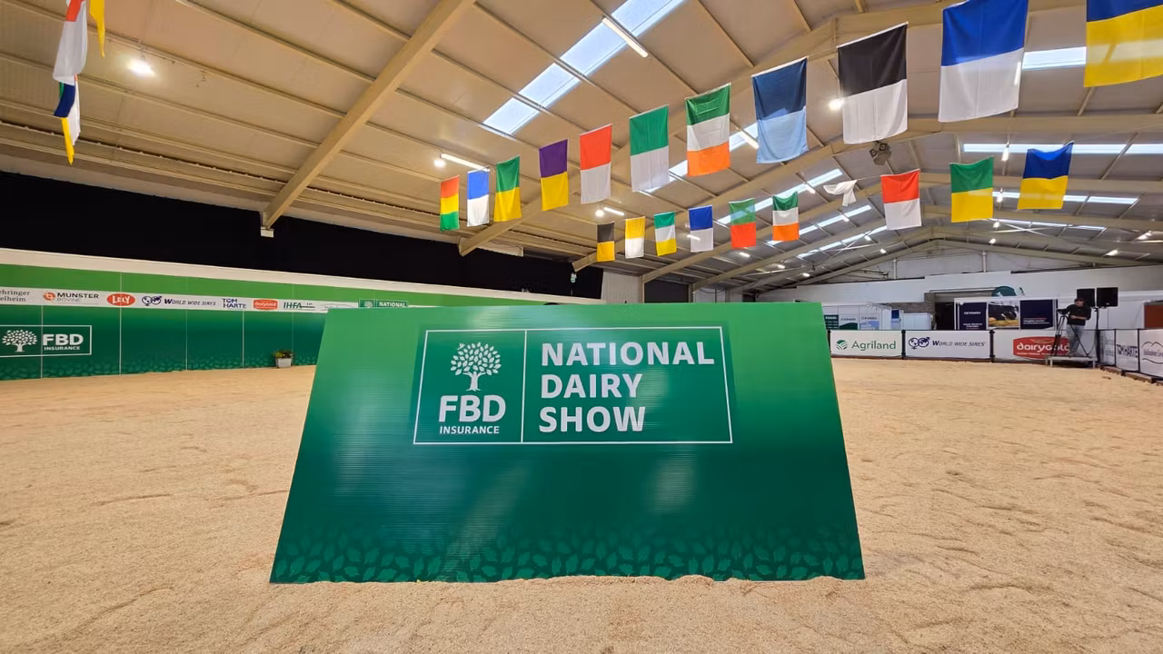 Watch: What to expect at the FBD National Dairy Show 2026