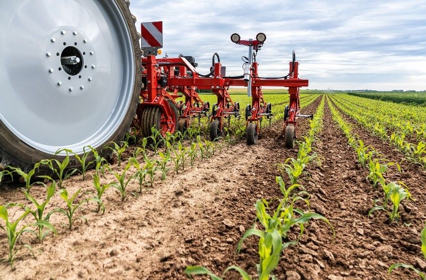 'Space to grow': Steketee sees 30% increase in sales for 2020