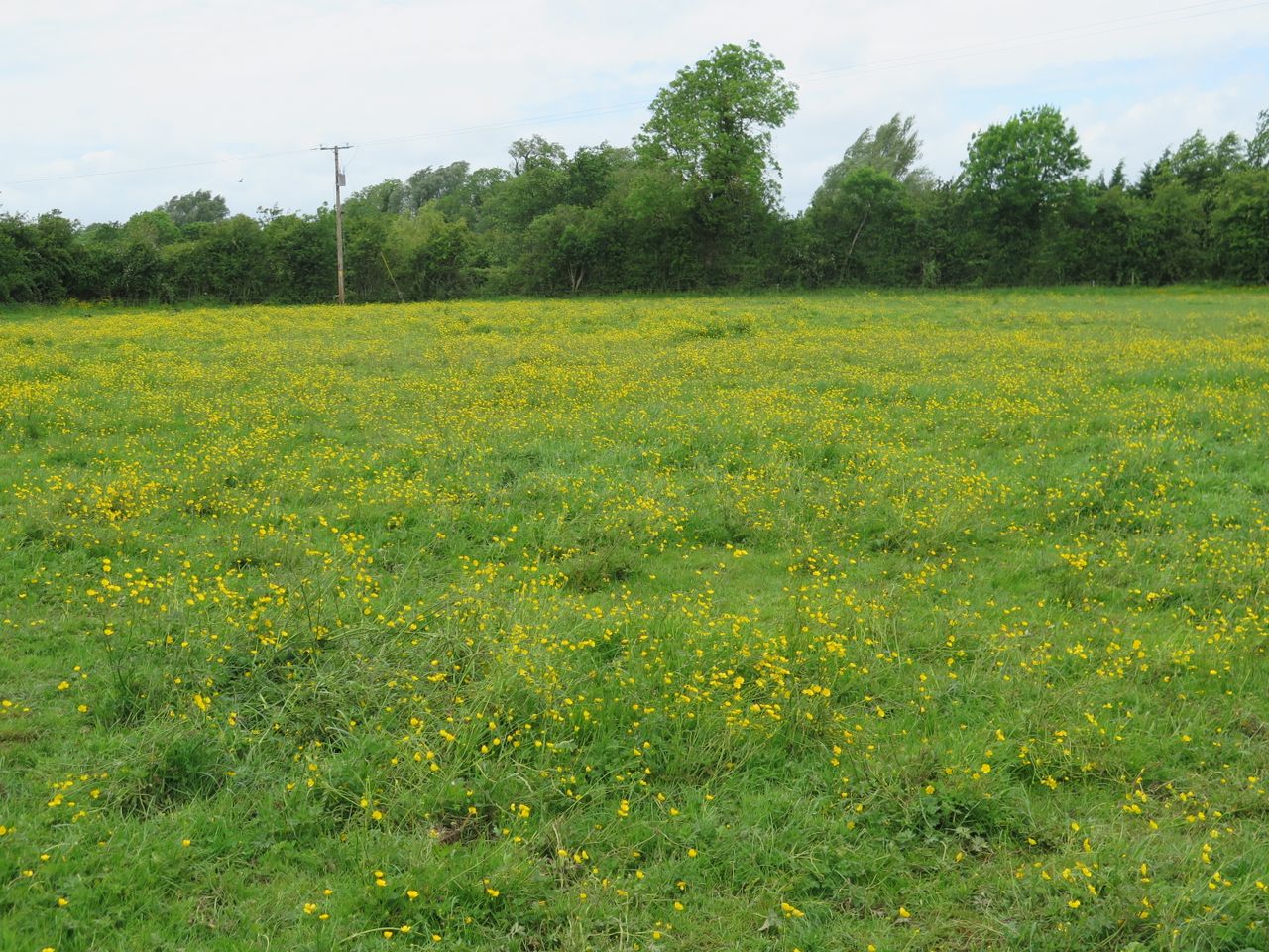 Over 75% of applications rejected in Organic Farming Scheme