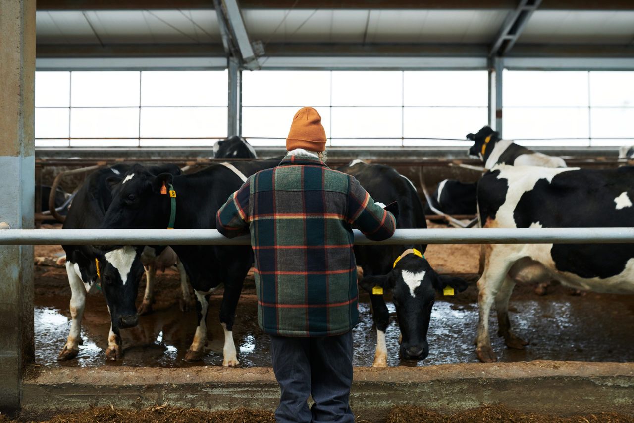 Reviewing the farm's performance ahead of a grim-looking spring