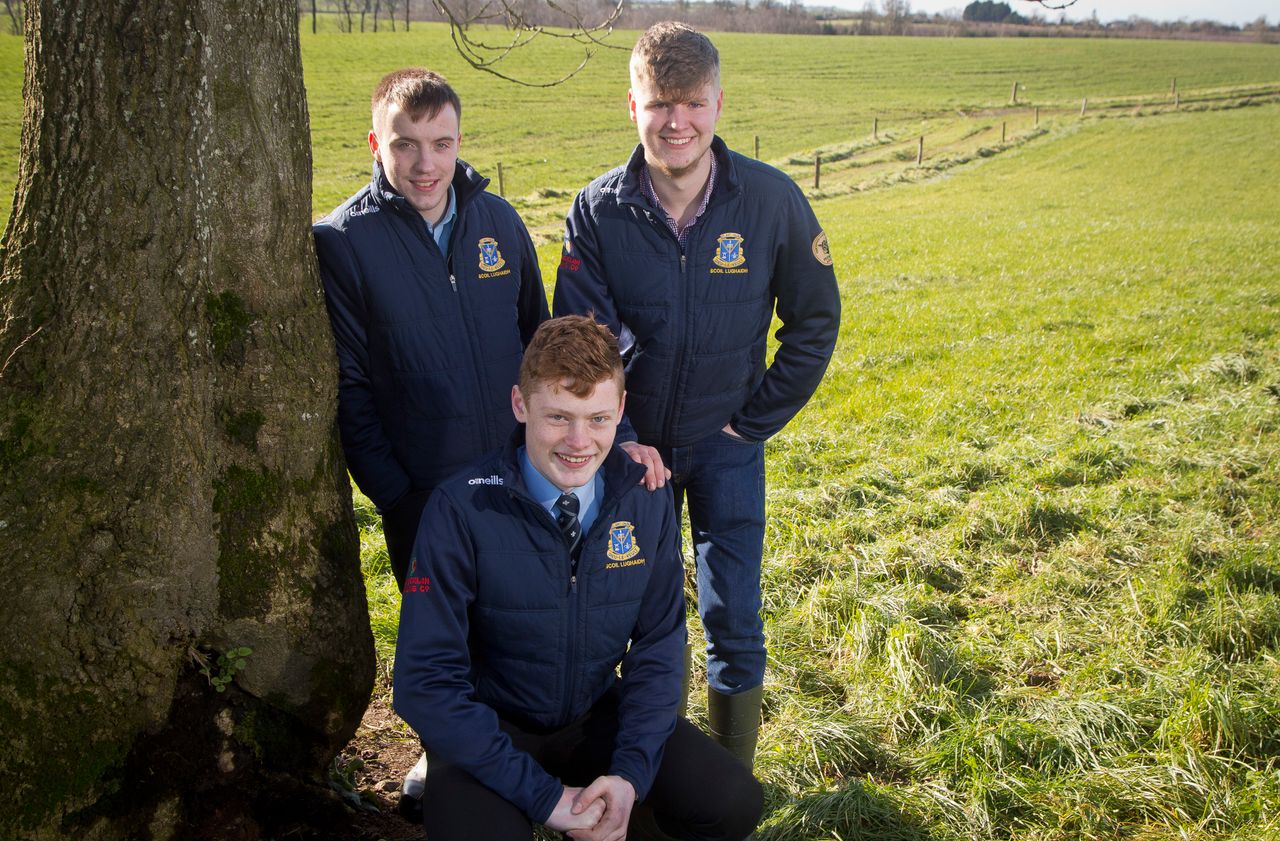 Antrim trio claim overall winners' prize in ABP Angus Youth Challenge