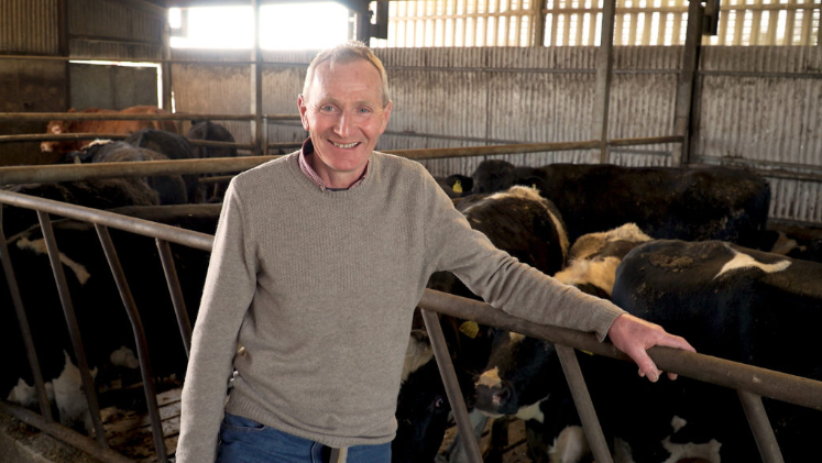 Making beef and tillage enterprises work hand-in-hand